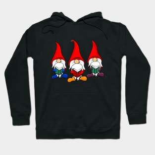 CHRISTMAS CAROLING GNOMES Hoodie